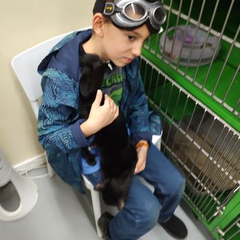 Milo Foundation - Hugs are always welcome - Pet Adoption Near Me - Point Richmond, California Milo Foundation - Hugs are always welcome - Pet Adoption Near Me - Point Richmond, California