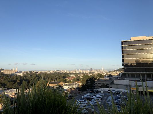 UCSF LIBRARY - Updated January 2026 - 65 Photos & 85 Reviews - 530 ...