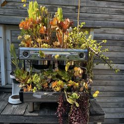 Garden Coffee