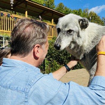 Wolf Creek Habitat - They're so sweet and excited to meet people. - Zoos Near Me - Brookville, Indiana Wolf Creek Habitat - They're so sweet and excited to meet people. - Zoos Near Me - Brookville, Indiana