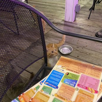 Acapulco mexican restaurant - Outdoor dining - Tex-Mex Near Me - Pawleys Island, South Carolina Acapulco mexican restaurant - Outdoor dining - Tex-Mex Near Me - Pawleys Island, South Carolina