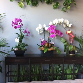 Gong Cha - 06.04.18 nice orchids - Coffee & Tea Near Me - Cerritos, California