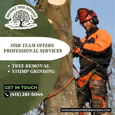 Family Owned And Operated - Mendez Tree Services is a family-owned and operated company that provides commercial and residential tree services. We are licensed and insured and have over 6 years of experience in the industry.
Your trees are precious, and they deserve the best care possible. Mendez Tree Services provides the most experienced arborists for all your tree maintenance needs. We offer affordable pricing for all our services. Family Owned And Operated - Mendez Tree Services is a family-owned and operated company that provides commercial and residential tree services. We are licensed and insured and have over 6 years of experience in the industry.
Your trees are precious, and they deserve the best care possible. Mendez Tree Services provides the most experienced arborists for all your tree maintenance needs. We offer affordable pricing for all our services.