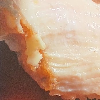 Popeyes Louisiana Kitchen - RAW CHICKEN SANDWICH - Fast Food Near Me - O'fallon, Missouri Popeyes Louisiana Kitchen - RAW CHICKEN SANDWICH - Fast Food Near Me - O'fallon, Missouri