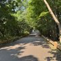Motor Parkway