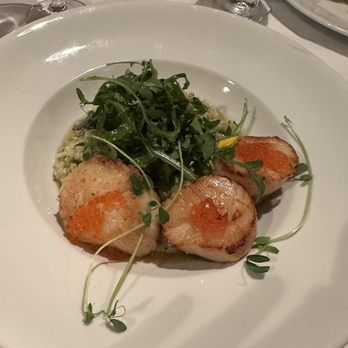 Scalo - The special that night: scallops with pesto risotto, caviar, and arugula salad - Italian Near Me - Albuquerque, New Mexico