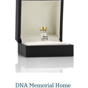 Buckeye Cremation By Schoedinger - Cremation Services Near Me - Dublin, Ohio