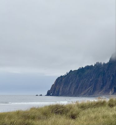 Nehalem Bay State Park by null