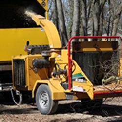 Practical Tree Service