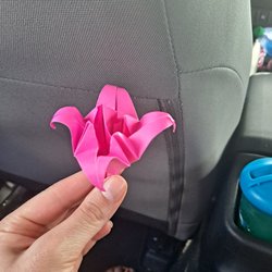 Asuka Hibachi And Buffet - Origami flower