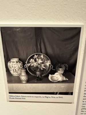 Matisse Museum by null