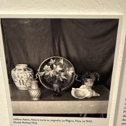 Musée Matisse