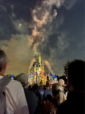 Magic Kingdom Park by null