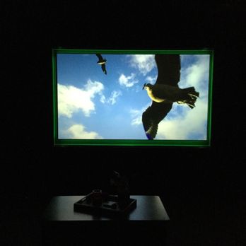 Dreamedia Home Theater - Home Theatre Installation Near Me