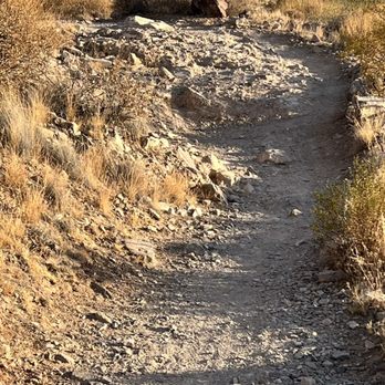 Lost Dog Wash Trail - Hiking Near Me - Scottsdale, Arizona Lost Dog Wash Trail - Hiking Near Me - Scottsdale, Arizona