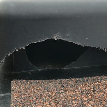 SOS Wildlife Control - They ate through the plastic and got in! - Pest Control Near Me - Toronto, Ontario