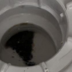 Sunnymead Guest House - Plug hole totally full of scum