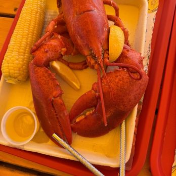 Downeast Lobster Pound - Jumbo lobster, 2.5 lbs at $15.95 per pound - Seafood Near Me - Trenton, Maine Downeast Lobster Pound - Jumbo lobster, 2.5 lbs at $15.95 per pound - Seafood Near Me - Trenton, Maine