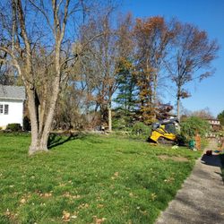 G & J Star Tree Service