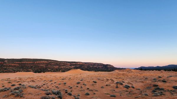 Coral Pink Sand Dunes State Park by null