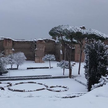 Transfer & Tour Roma - Historical Tours Near Me - Rome, RM Transfer & Tour Roma - Historical Tours Near Me - Rome, RM