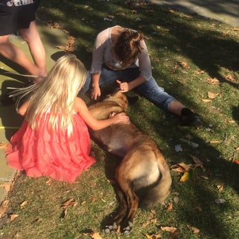 Specialty Dog Training - Pet Training Near Me - Oceanside, California