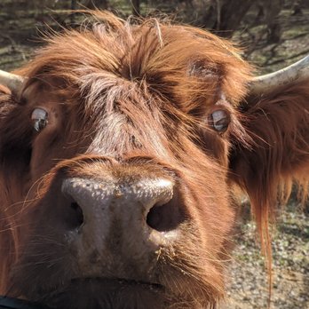 Alabama Safari Park - Zoos Near Me - Hope Hull, Alabama