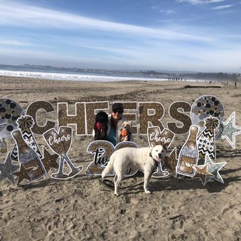 Paula's Pet Pals - Happy New Year from Paula's Pet Pals - Dog Walkers Near Me Paula's Pet Pals - Happy New Year from Paula's Pet Pals - Dog Walkers Near Me
