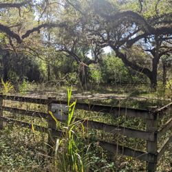 LaBelle River Park - River Park, LaBelle