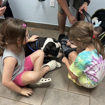 Neighborhood Veterinary Centers - At another clinic in Houston, given the terrible news - Veterinarians Near Me - Nederland, Texas Neighborhood Veterinary Centers - At another clinic in Houston, given the terrible news - Veterinarians Near Me - Nederland, Texas