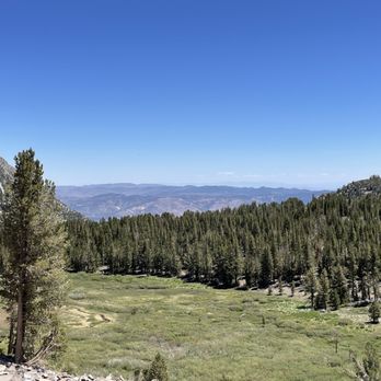 Galena Falls Trail - Looking out from the top of Galena Falls - Hiking Near Me - Reno, Nevada
