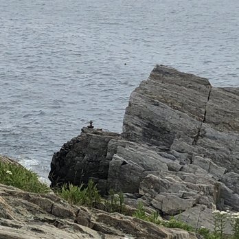Giant's Stairs Trail - Beaches Near Me - Harpswell, Maine Giant's Stairs Trail - Beaches Near Me - Harpswell, Maine