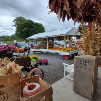 Greg's U-Pick - Pick Your Own Farms Near Me - Clarence Center, New York