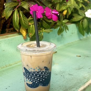 Little Fish Coffee - Cafes Near Me - Koloa, Hawaii Little Fish Coffee - Cafes Near Me - Koloa, Hawaii