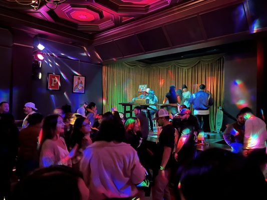 The Partisan by null