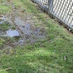 Cañada Vista Park - Poor water drainage in small dog area please fix issue 9/2024
