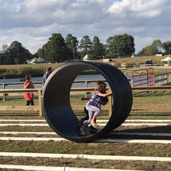 Phillips Farms - Farmers Market Near Me - Cary, North Carolina