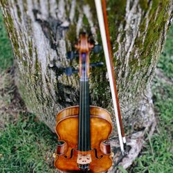 Michelle Weber - Violin - Michelle Weber Violin in Milford, NH