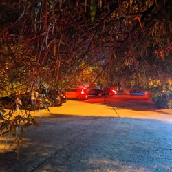 Ace Parking - You needed to duck under trees directly over the flow of traffic in the lot.