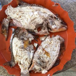 Luxy Diver - Cooked Hogfish , fresh catch from Captain Alex with Luxy Diver