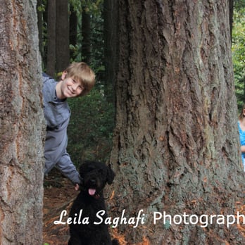 Beaver Lake Park - Awesome location for kids' photos! - Parks Near Me - Sammamish, Washington Beaver Lake Park - Awesome location for kids' photos! - Parks Near Me - Sammamish, Washington