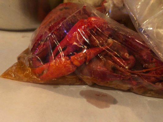 Holly Crab Mad For Chicken by null