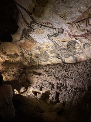 Lascaux by null
