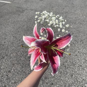 Eden’s Garden - Lovely pair of stargazer Lilies - Florists Near Me - San Jose, California Eden’s Garden - Lovely pair of stargazer Lilies - Florists Near Me - San Jose, California