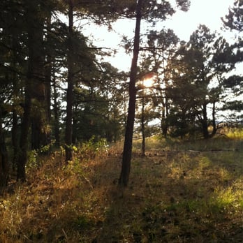 Whispering Pines Park - Sunset near horseshoe pit - Hiking Near Me - Franktown, Colorado Whispering Pines Park - Sunset near horseshoe pit - Hiking Near Me - Franktown, Colorado
