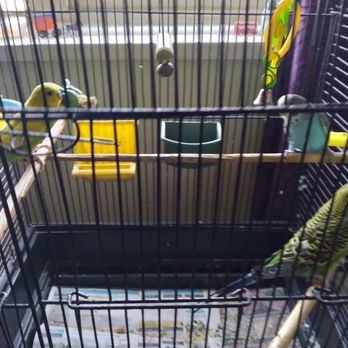 Noah's Pet Ark - Pet Stores Near Me - Vancouver, British Columbia Noah's Pet Ark - Pet Stores Near Me - Vancouver, British Columbia