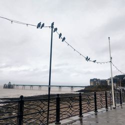 Clevedon Pier & Heritage Trust