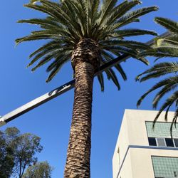 Graham Tree Service