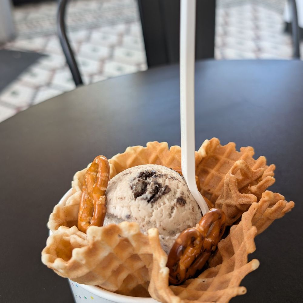 Screaming Cat Ice Cream & Coffee - Junior scoop of Ultimate Oreo with oat cream with pretzels in a waffle bowl. - Coffee & Tea Near Me - Jacksonville, Florida Screaming Cat Ice Cream & Coffee - Junior scoop of Ultimate Oreo with oat cream with pretzels in a waffle bowl. - Coffee & Tea Near Me - Jacksonville, Florida