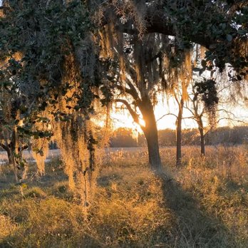 Brazos Bend State Park - Beautiful sunset - Parks Near Me - Needville, Texas